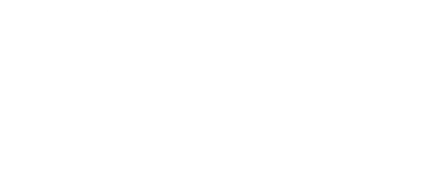 船橋競馬場で繰り広げられる迫力満点のレースと、誰もが楽しめる多彩なコンテンツ。