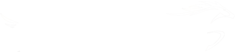 メイキング映像